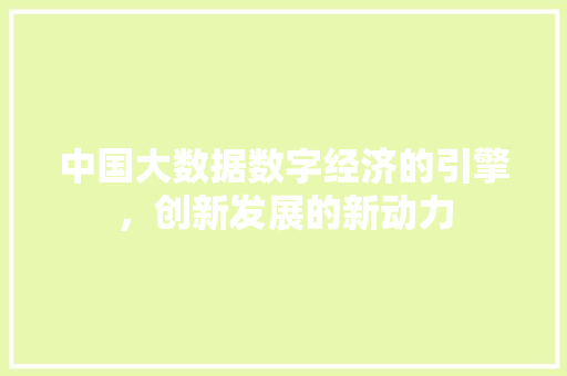 中国大数据数字经济的引擎，创新发展的新动力