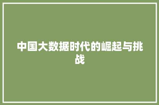 中国大数据时代的崛起与挑战