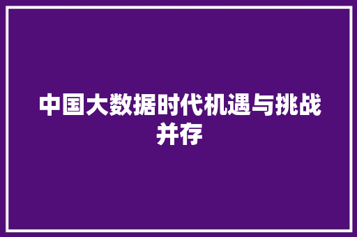 中国大数据时代机遇与挑战并存