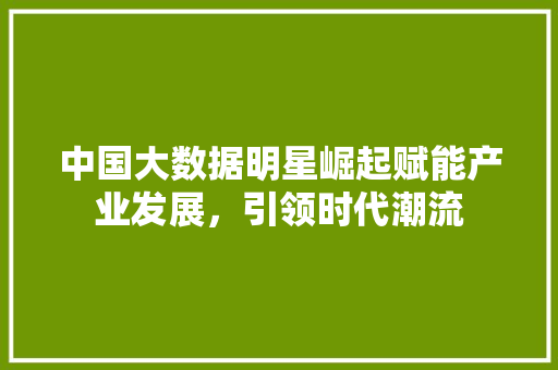 中国大数据明星崛起赋能产业发展，引领时代潮流