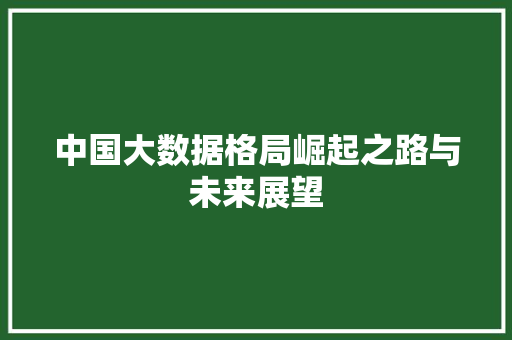 中国大数据格局崛起之路与未来展望