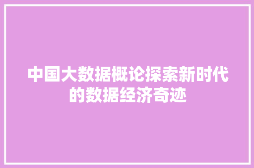 中国大数据概论探索新时代的数据经济奇迹