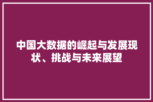 中国大数据的崛起与发展现状、挑战与未来展望