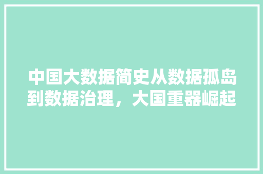 中国大数据简史从数据孤岛到数据治理，大国重器崛起之路