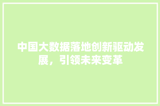 中国大数据落地创新驱动发展，引领未来变革