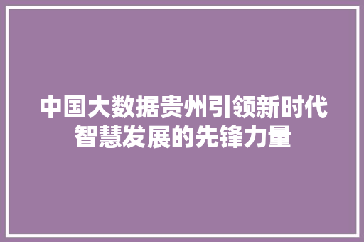 中国大数据贵州引领新时代智慧发展的先锋力量