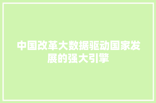 中国改革大数据驱动国家发展的强大引擎