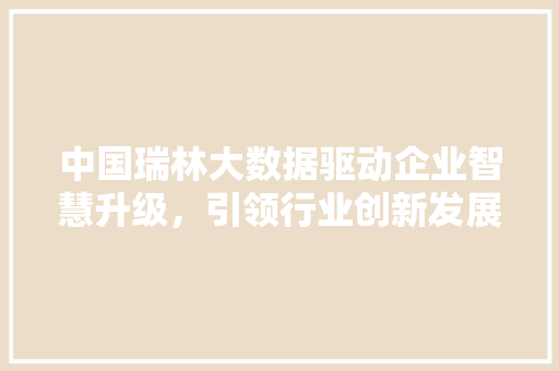 中国瑞林大数据驱动企业智慧升级，引领行业创新发展