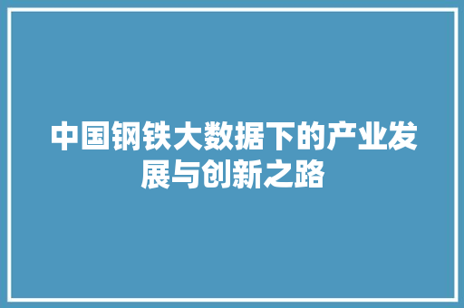 中国钢铁大数据下的产业发展与创新之路