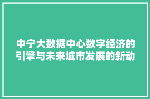 中宁大数据中心数字经济的引擎与未来城市发展的新动力
