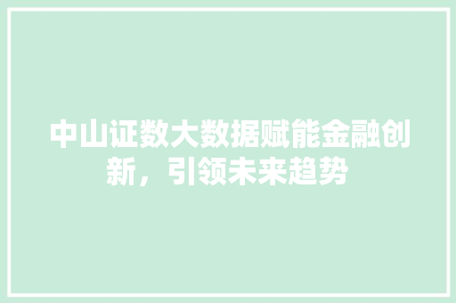 中山证数大数据赋能金融创新,引领未来趋势 中山证数大数据赋能金融创新,引领未来趋势