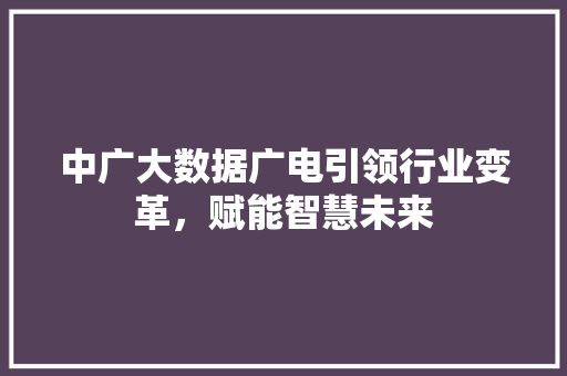 中广大数据广电引领行业变革，赋能智慧未来