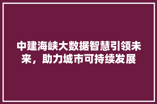 中建海峡大数据智慧引领未来,助力城市可持续发展 中建海峡大数据智慧引领未来,助力城市可持续发展
