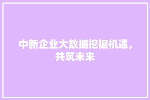 中新企业大数据挖掘机遇,共筑未来 中新企业大数据挖掘机遇,共筑未来
