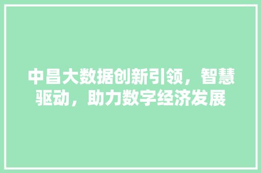 中昌大数据创新引领，智慧驱动，助力数字经济发展