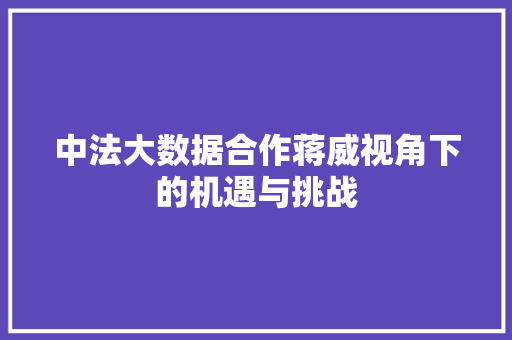 中法大数据合作蒋威视角下的机遇与挑战 中法大数据合作蒋威视角下的机遇与挑战