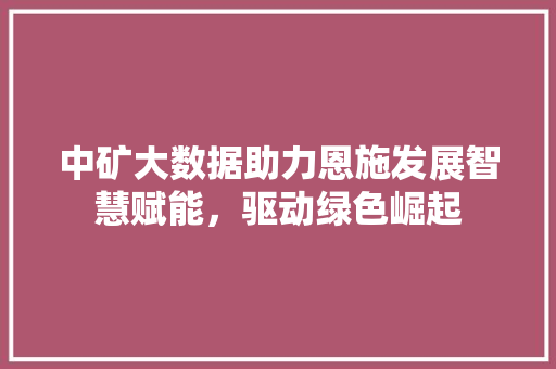 中矿大数据助力恩施发展智慧赋能，驱动绿色崛起