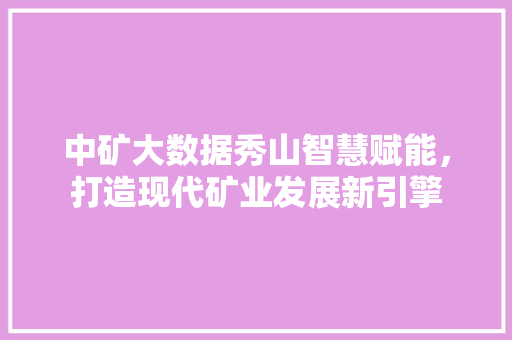 中矿大数据秀山智慧赋能，打造现代矿业发展新引擎