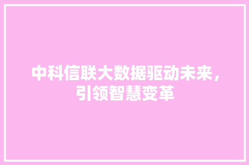 中科信联大数据驱动未来,引领智慧变革 中科信联大数据驱动未来,引领智慧变革