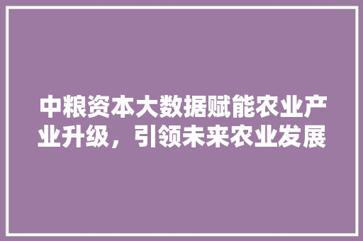 中粮资本大数据赋能农业产业升级,引领未来农业发展新趋势 中粮资本大数据赋能农业产业升级,引领未来农业发展新趋势