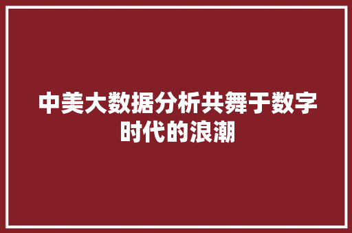 中美大数据分析共舞于数字时代的浪潮 中美大数据分析共舞于数字时代的浪潮