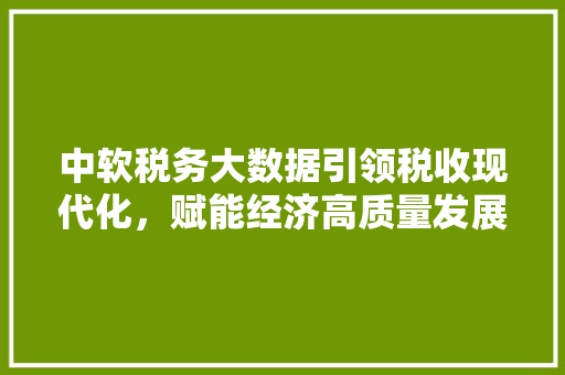中软税务大数据引领税收现代化，赋能经济高质量发展