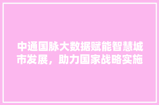 中通国脉大数据赋能智慧城市发展，助力国家战略实施