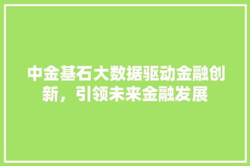 中金基石大数据驱动金融创新，引领未来金融发展