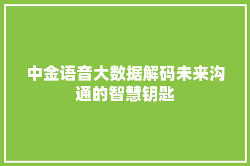 中金语音大数据解码未来沟通的智慧钥匙