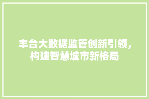丰台大数据监管创新引领，构建智慧城市新格局