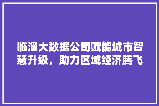 临淄大数据公司赋能城市智慧升级，助力区域经济腾飞