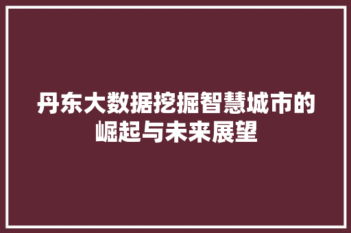 丹东大数据挖掘智慧城市的崛起与未来展望