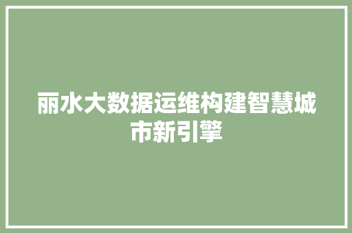 丽水大数据运维构建智慧城市新引擎