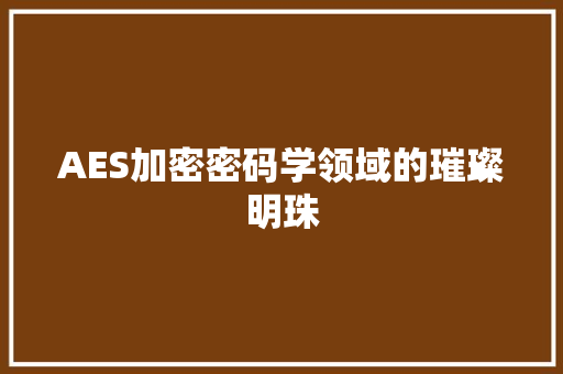 AES加密密码学领域的璀璨明珠