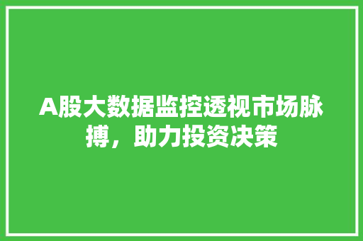 A股大数据监控透视市场脉搏，助力投资决策