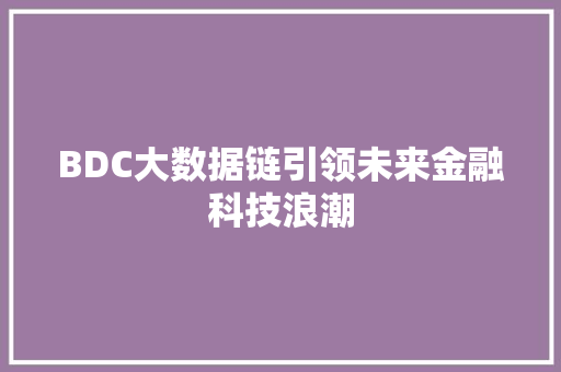 BDC大数据链引领未来金融科技浪潮