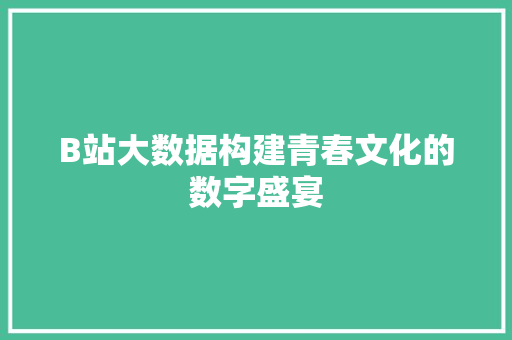 B站大数据构建青春文化的数字盛宴
