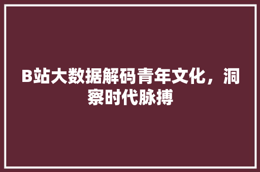 B站大数据解码青年文化，洞察时代脉搏