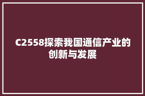 C2558探索我国通信产业的创新与发展