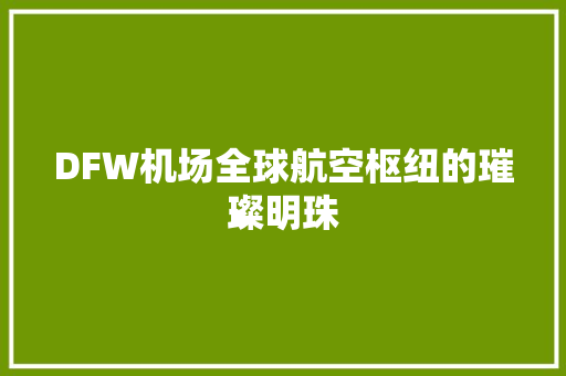 DFW机场全球航空枢纽的璀璨明珠