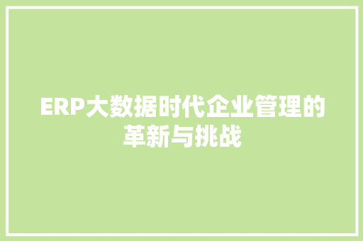 ERP大数据时代企业管理的革新与挑战