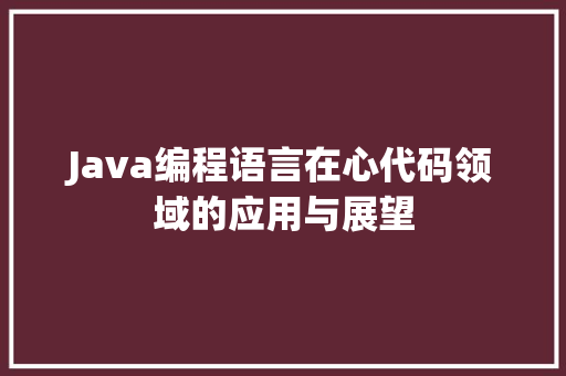 Java编程语言在心代码领域的应用与展望