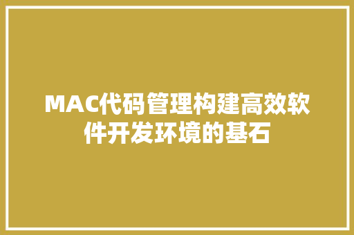 MAC代码管理构建高效软件开发环境的基石