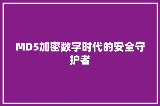 MD5加密数字时代的安全守护者