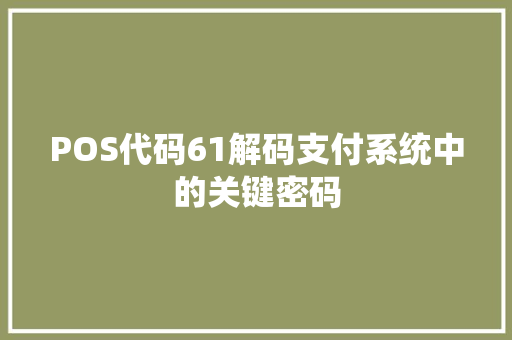 POS代码61解码支付系统中的关键密码