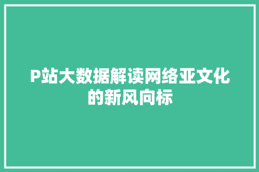 P站大数据解读网络亚文化的新风向标
