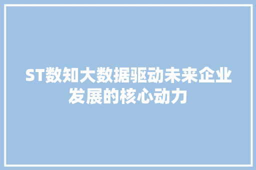 ST数知大数据驱动未来企业发展的核心动力