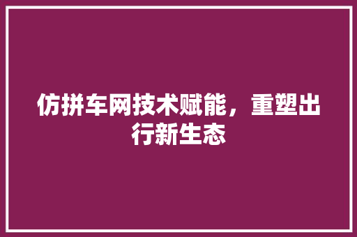 仿拼车网技术赋能，重塑出行新生态