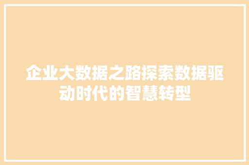 企业大数据之路探索数据驱动时代的智慧转型