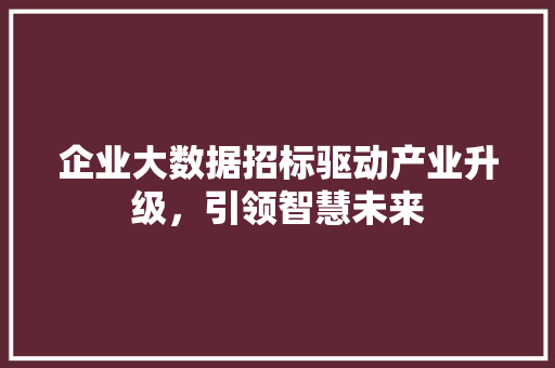 企业大数据招标驱动产业升级，引领智慧未来